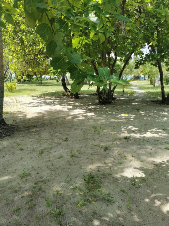 Zimmer Meeru Maldives Resort Island