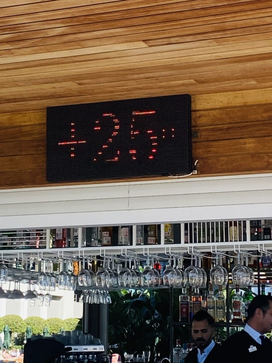 Gastro Acanthus Cennet Barut Collection