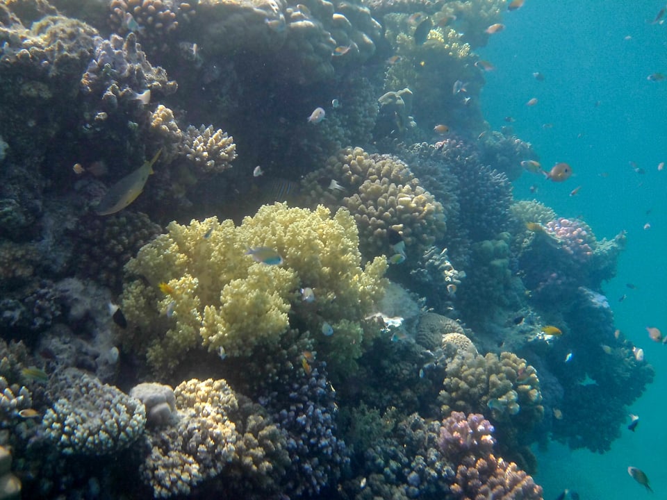 Sport & Freizeit Lahami Bay Beach Resort