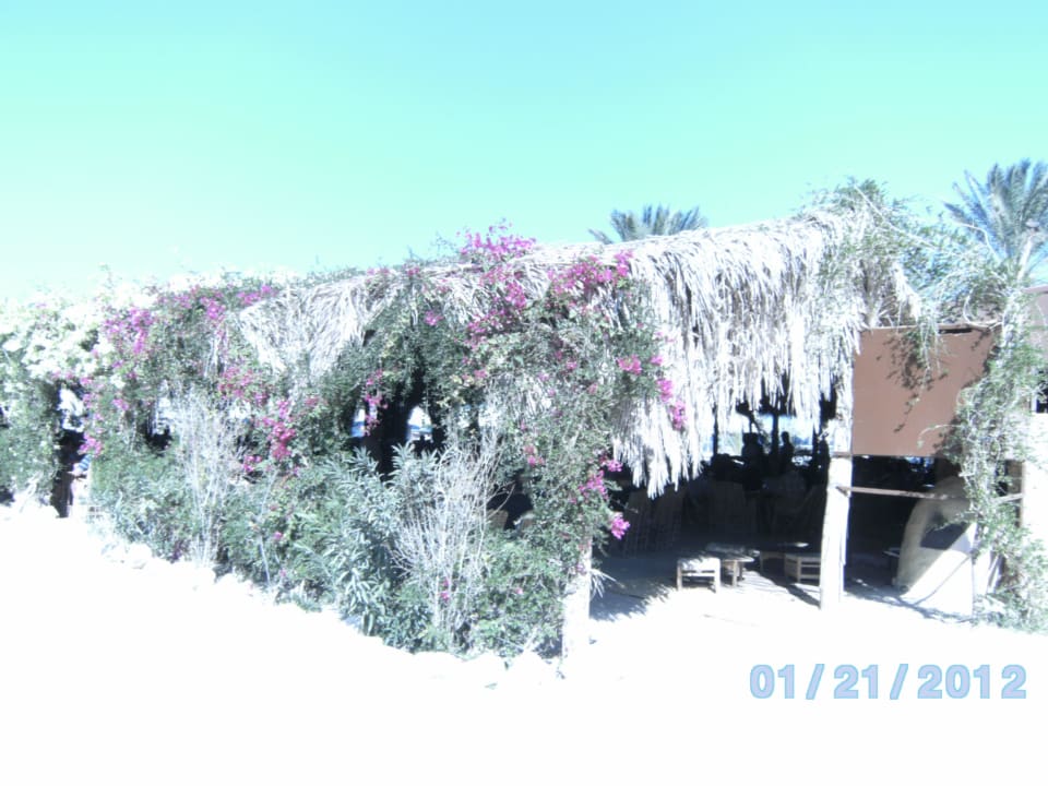 Strandrestaurant Utopia Beach Club