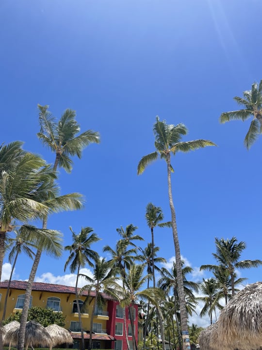 Gartenanlage Caribe Deluxe Princess