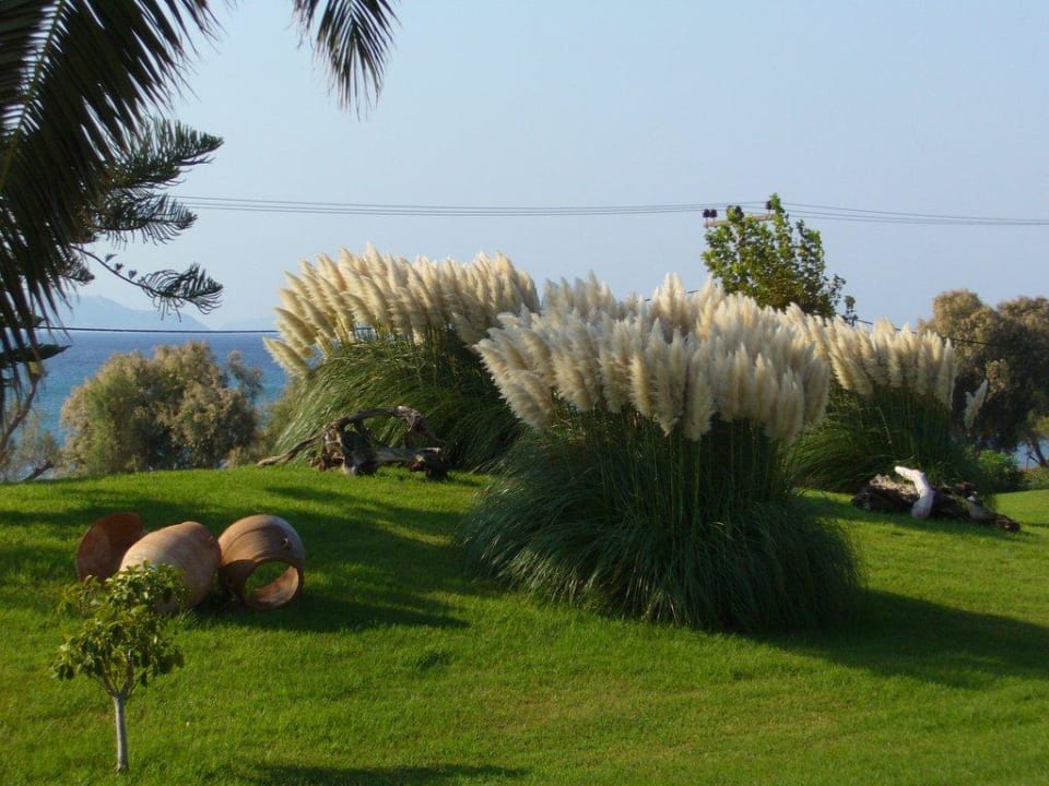 Gartenanlage Lagas Aegean Village