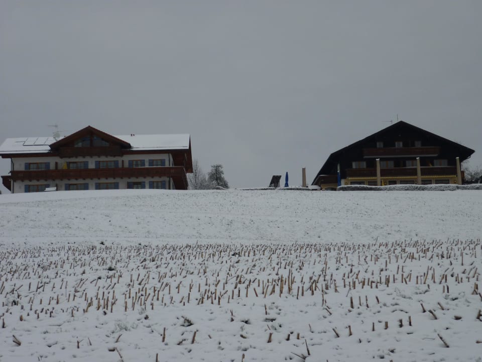 Gästehaus und Gasthof Hotel Berggasthof Weingarten