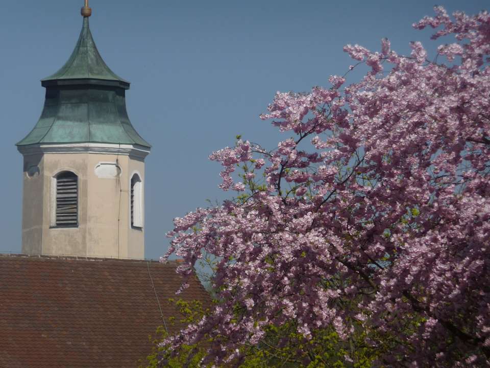 Frühlingserwachen Pension El Loquito