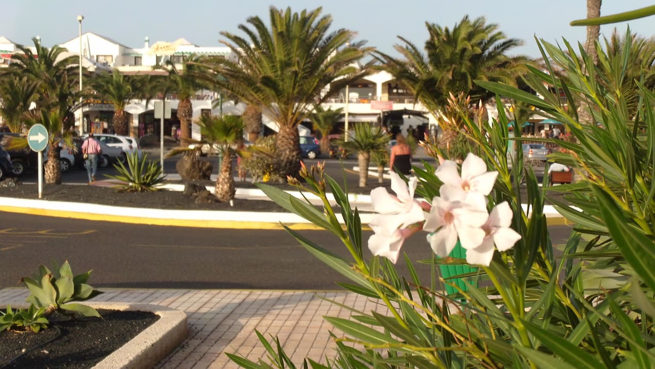 Hotelvorplatz Hotel Grand Teguise Playa