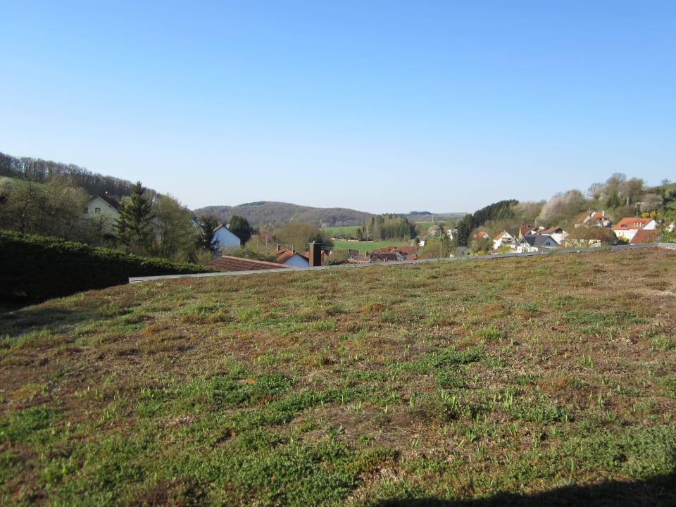 Morgendliche Ausblick Naturhotel Blaubach