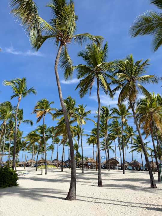 Strand Catalonia Punta Cana - All Inclusive