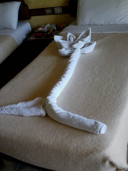 Jeden Tag eine kleine Überaschung Sunny Days Palma De Mirette Resort & Spa