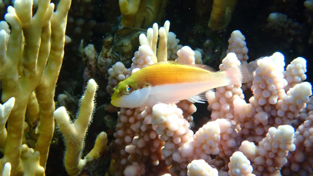 Sport & Freizeit Brayka Bay Resort