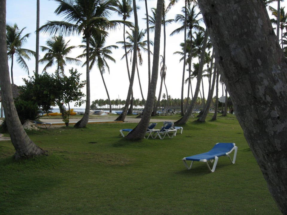 Liegewiese am Meer Wyndham Alltra Samana