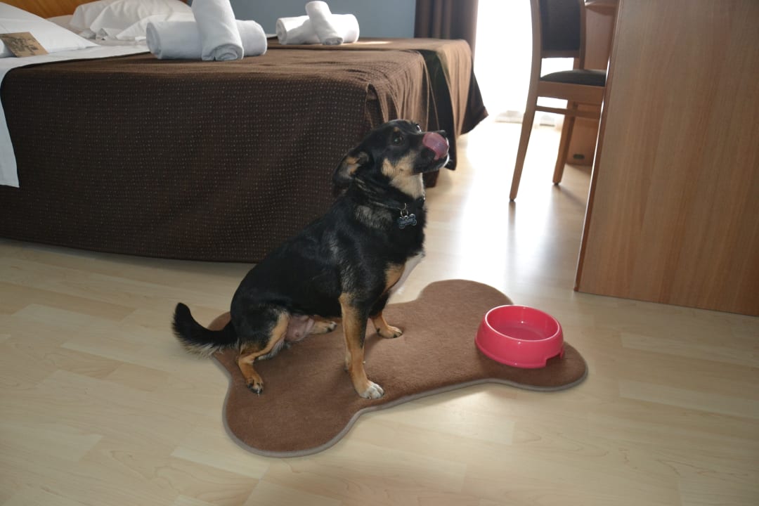 Zimmer Hotel Corallo Rimini