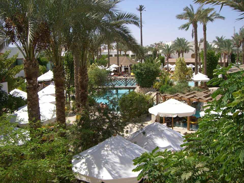 Blick vom Balkon Ghazala Gardens