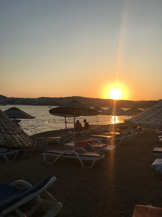 Strand Ladonia Hotels Delmare