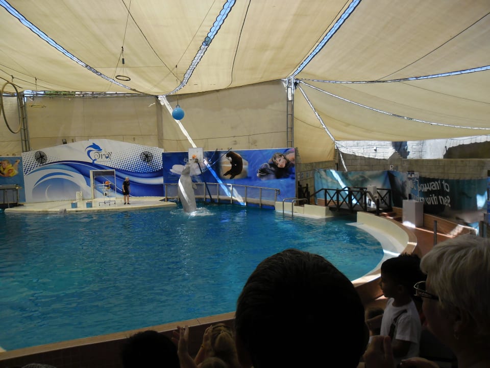 Exterior view Crystal Waterworld