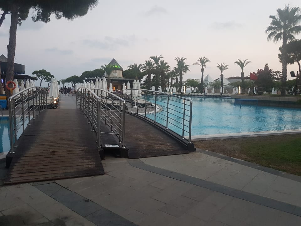 Pool Papillon Ayscha