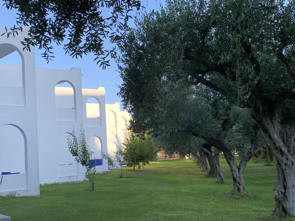 Ausblick  TUI KIDS CLUB Alex Beach