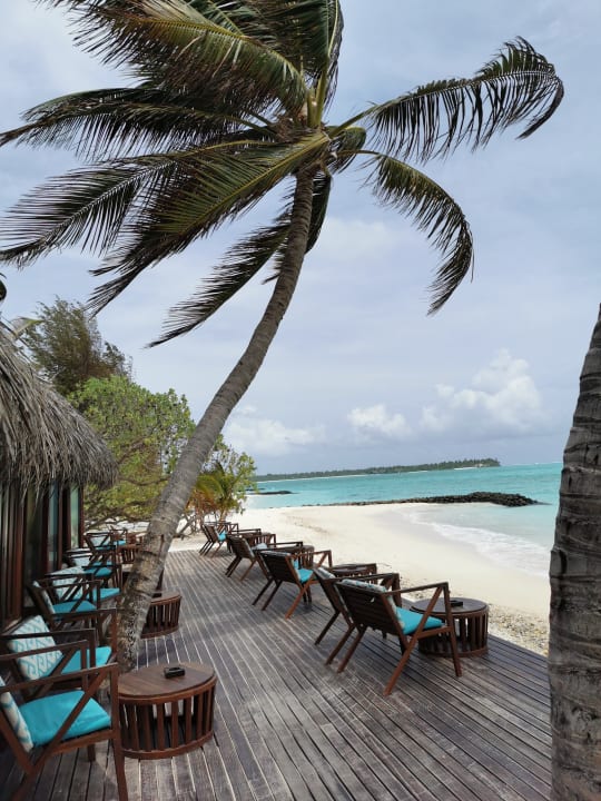Gastro Summer Island Maldives