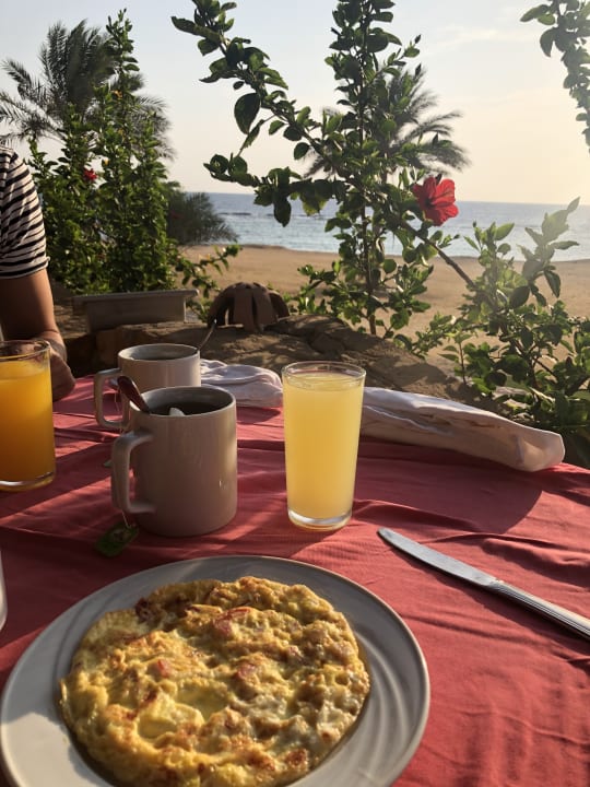 Gastro Wadi Lahmy Azur Resort