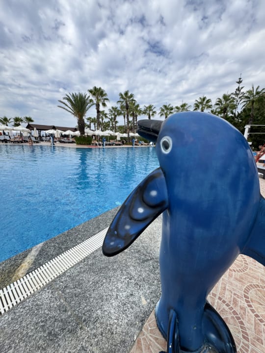 Pool Botanik Hotel & Resort