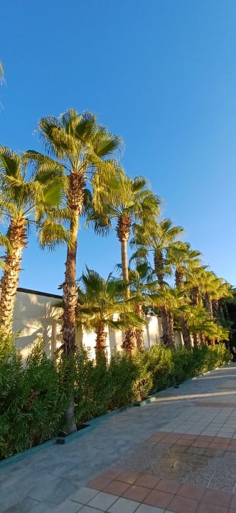 Pool Botanik Hotel & Resort