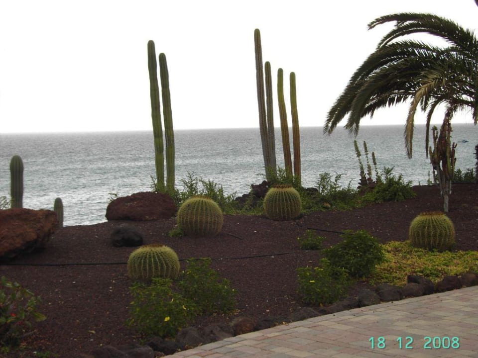 Garten R2 Pajara Beach