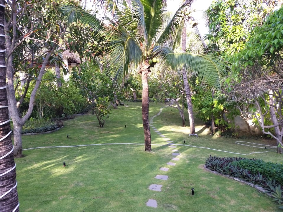 Gartenanlage Allezboo Beach Resort & Spa