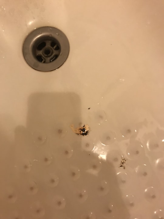 Zimmer Puri Santrian