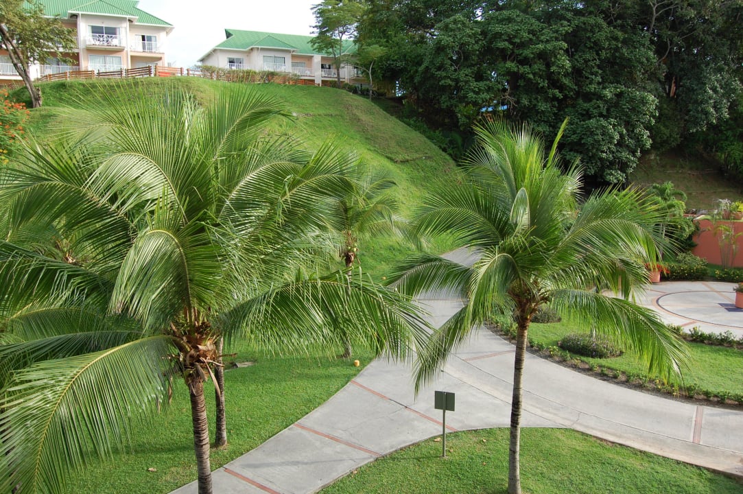 Blick vom Zimmer (Rückansicht) Grand Decameron Panama, A Trademark All Inclusive Resort