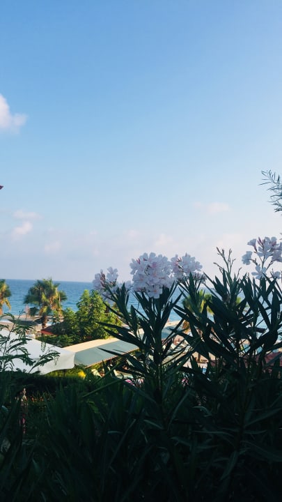 Ausblick Adora Calma Beach Hotel