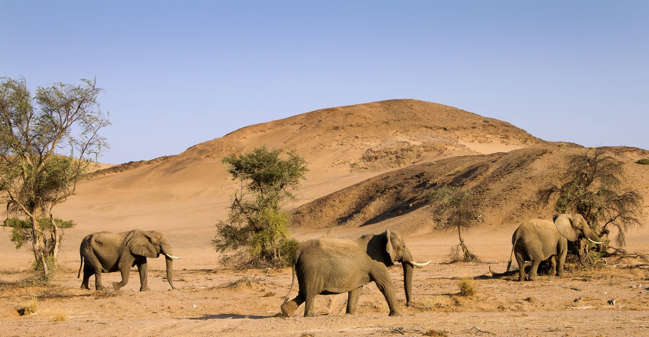 Sport & Freizeit Twyfelfontein Country Lodge