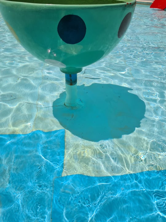 Pool Beach Albatros Resort