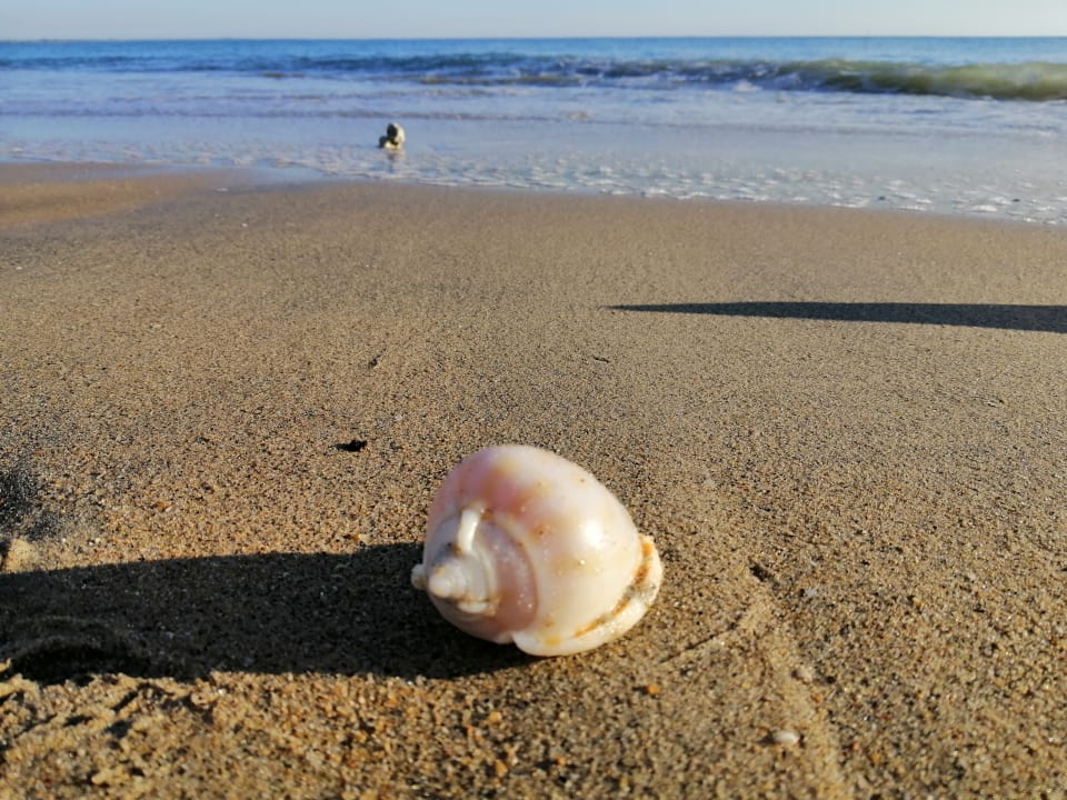 Strand Giman Free Beach Resort
