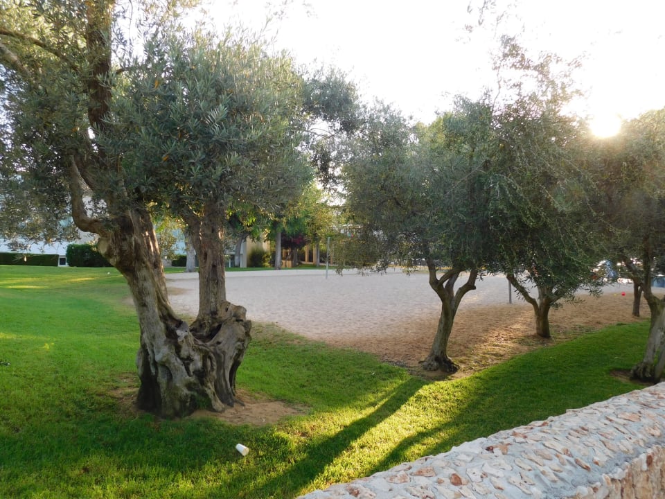 Gartenanlage Protur Floriana Resort Aparthotel