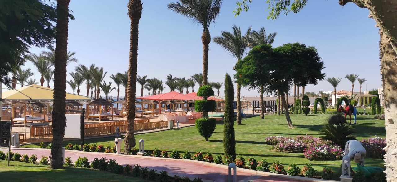 Strand Pickalbatros Palace Resort