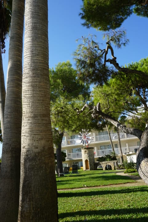 Gartenanlage allsun App.-Hotel Orquidea Playa