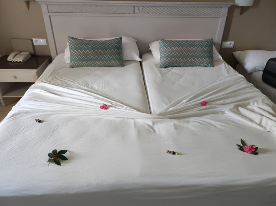 Zimmer Marhaba Royal Salem