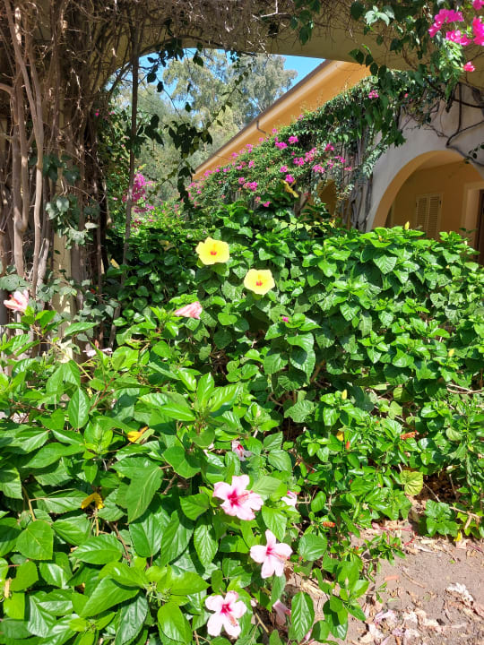 Gartenanlage TUI MAGIC LIFE Calabria