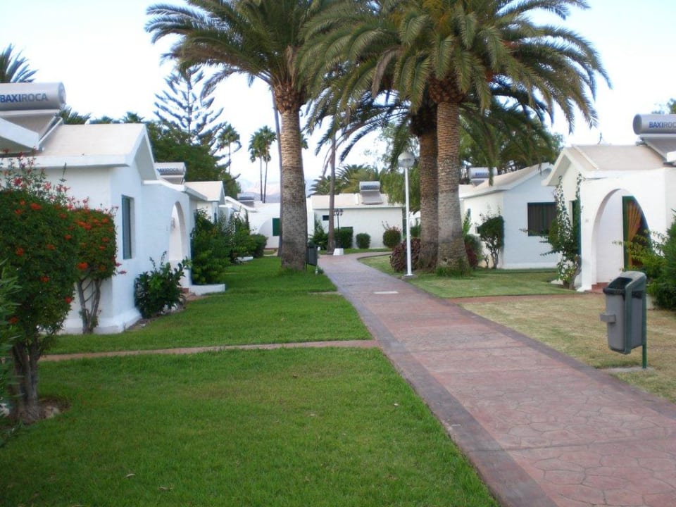 Anlage Canary Garden Club