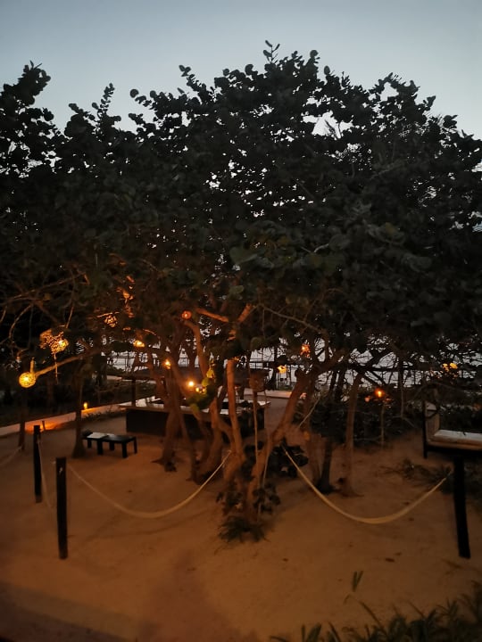 Ausblick Akumal Bay Beach & Wellness Resort