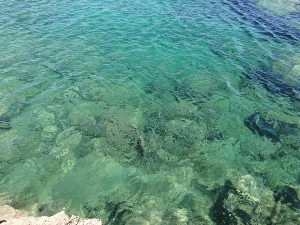 Crystal Springs Beach Hotel Crystal Springs Beach Hotel