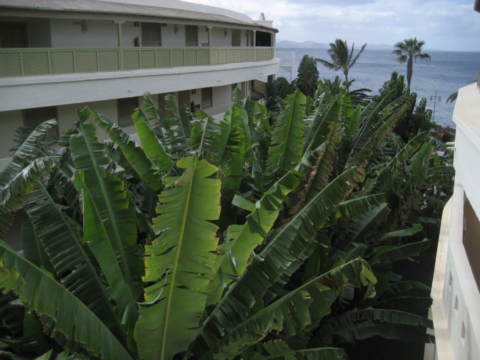 Innenhof Iberostar Selection Lanzarote Park