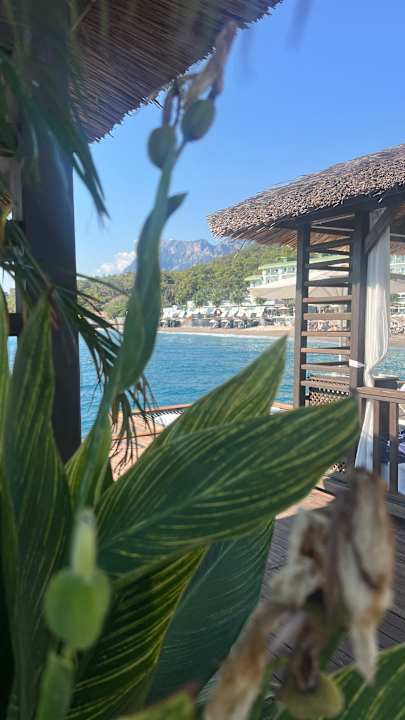 Pool Corendon Playa Kemer