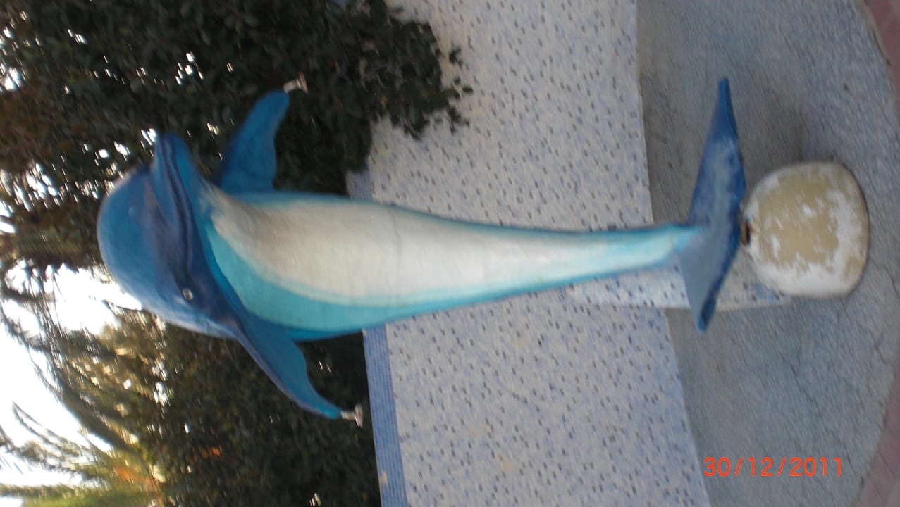 Delfin am Pool Hotel Paradis Palace