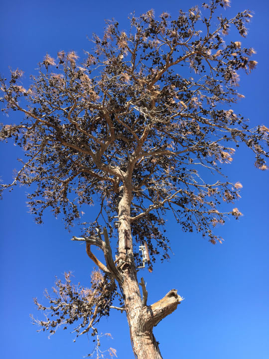 Garten Litore Resort & Spa