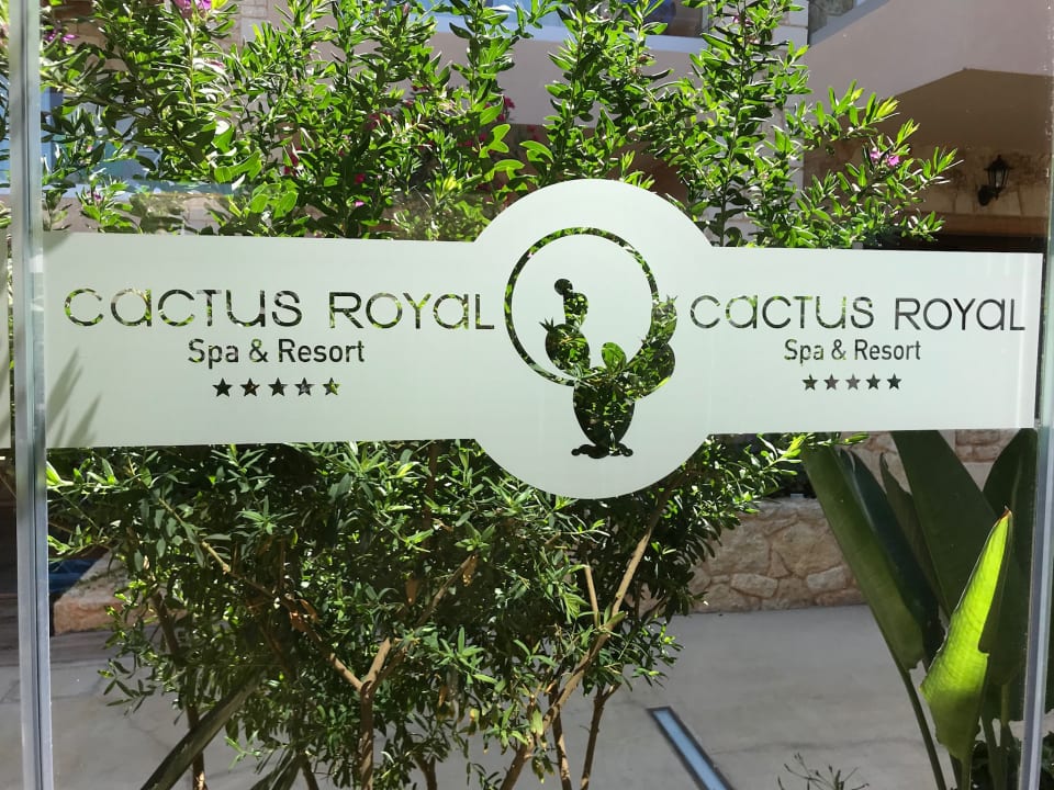 Sonstiges Cactus Royal