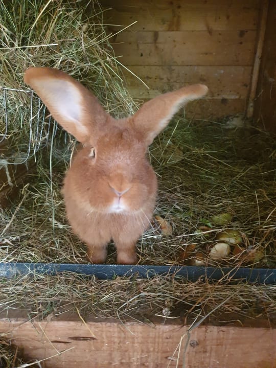 Sonstiges Hotel-Pension Ötzmooshof