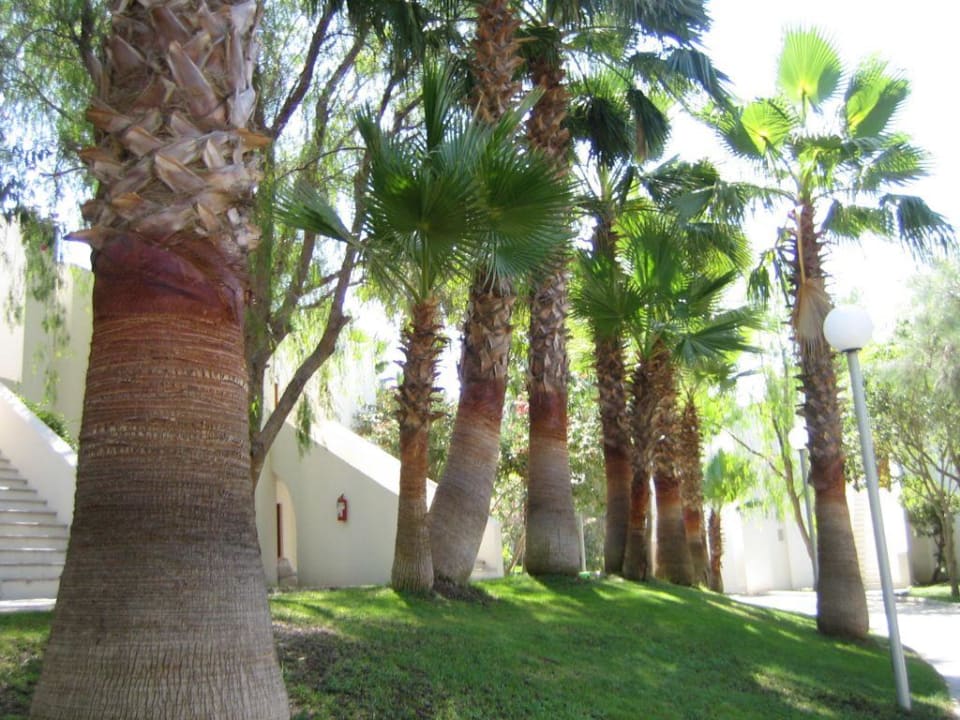 Grün Anlage zwischen den Bungalows Doubletree by Hilton Bodrum Isil Club All-Inclusive Resort