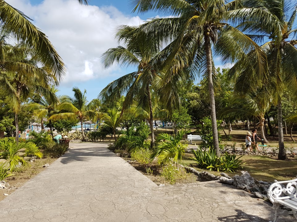Gartenanlage Hotel Playa Pesquero