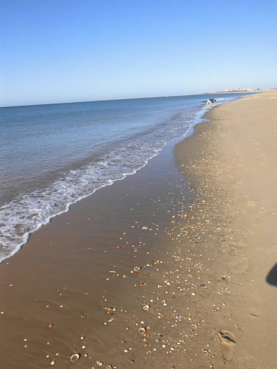 Muschelstrand TUI BLUE Isla Cristina Palace