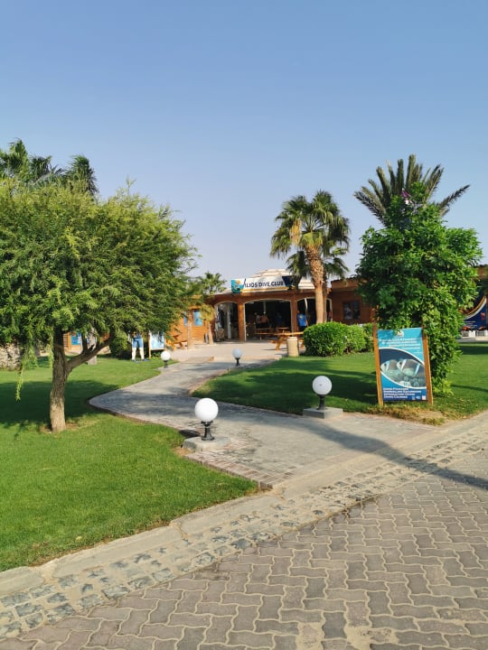 Gartenanlage Steigenberger ALDAU Beach Hotel